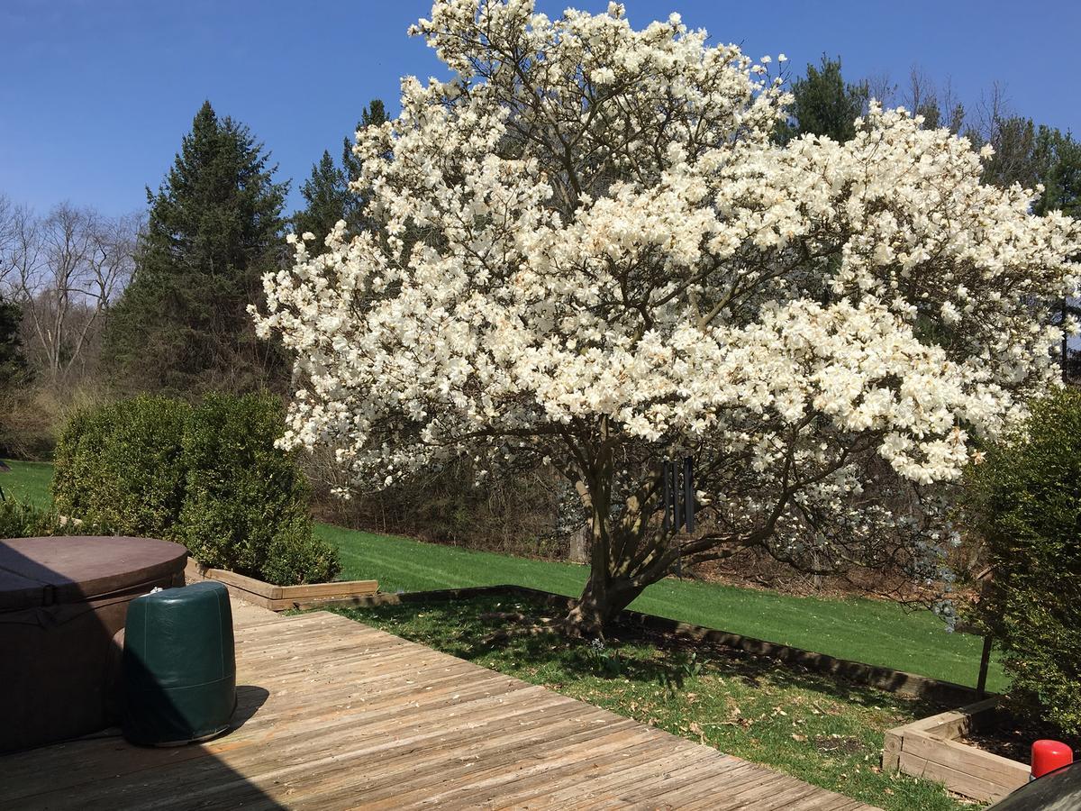 Huron River Guest House Ann Arbor Ngoại thất bức ảnh