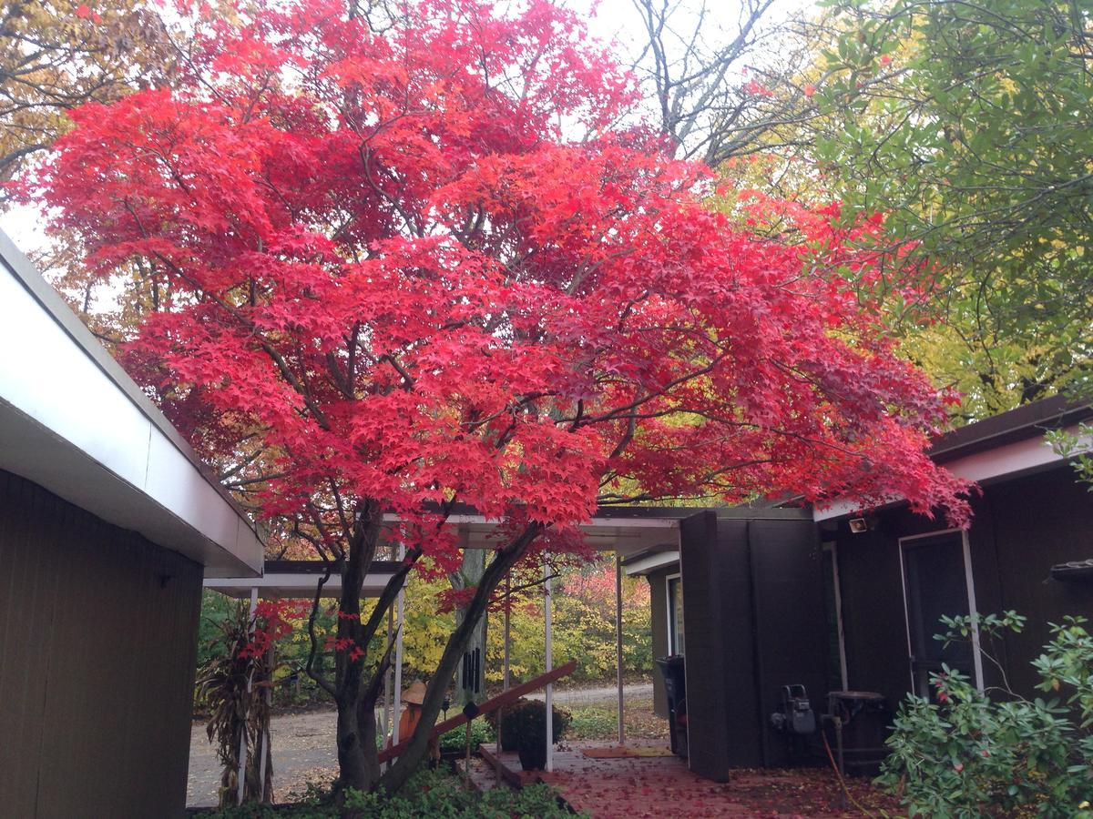Huron River Guest House Ann Arbor Ngoại thất bức ảnh